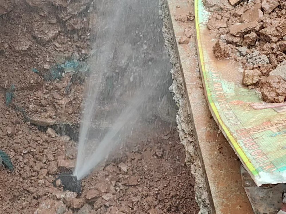 西区消防水管漏水检测定点开挖